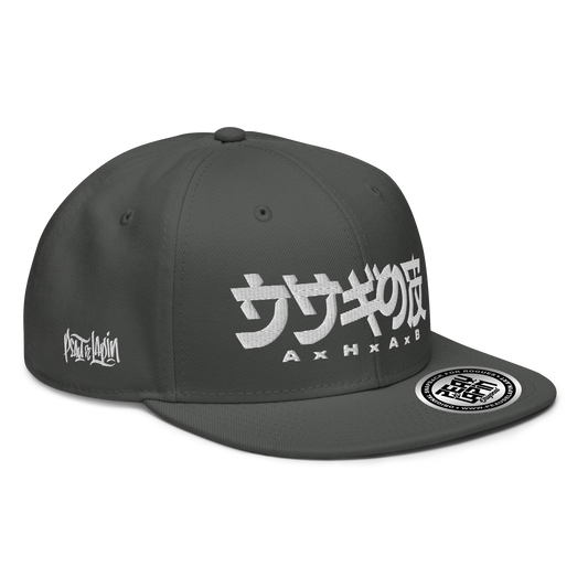 Snapback - translate